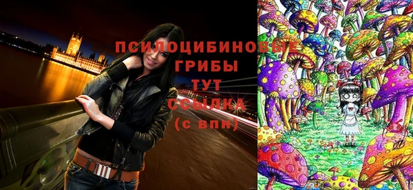 герыч Вязьма