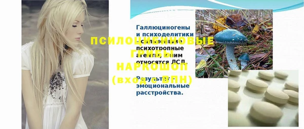 крисы Вязники