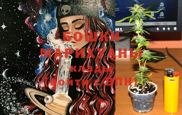 гидропоника Вяземский